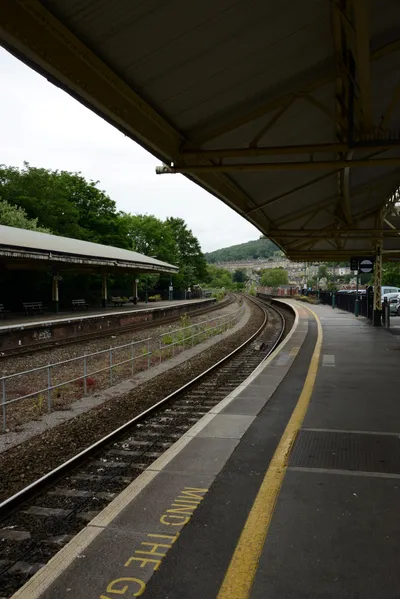 DSC_2527 (Large).JPG